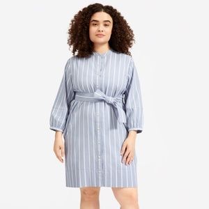 Everlane Blue White Stripe Shirtdress Size 10